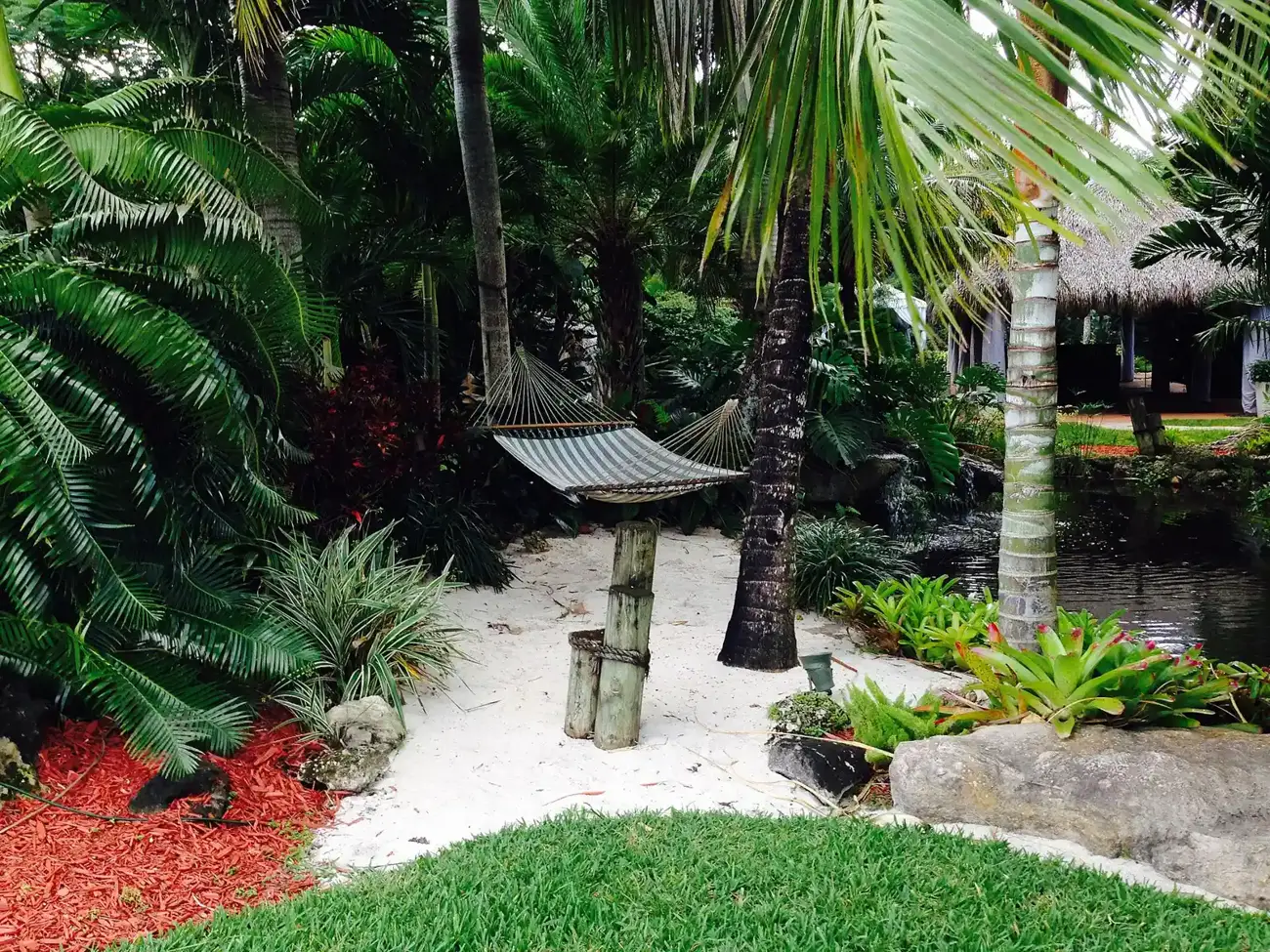 A tropical garden with a hammock and palms at a home in Davie.